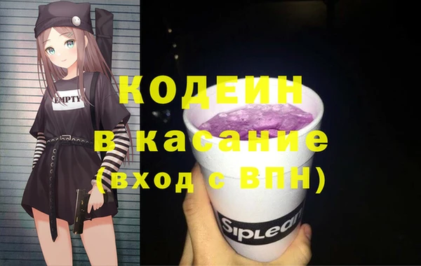 индика Баксан