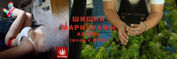 индика Баксан