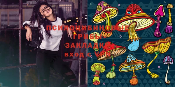 хмурый Аркадак