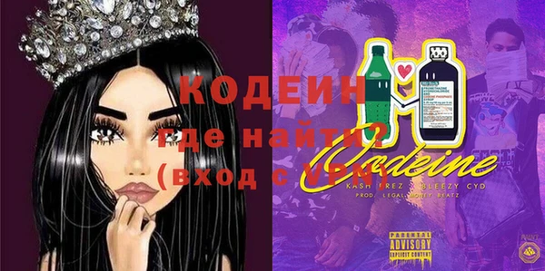 хмурый Аркадак