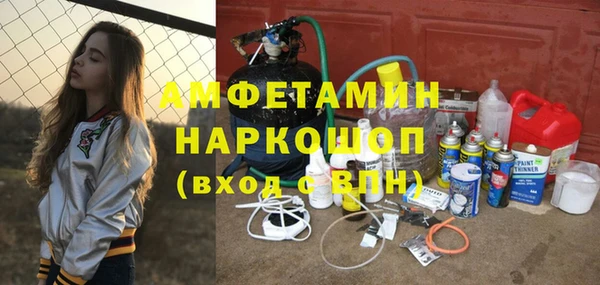 хмурый Аркадак