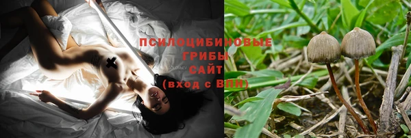 индика Баксан