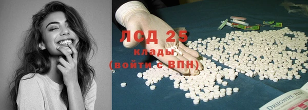 индика Баксан