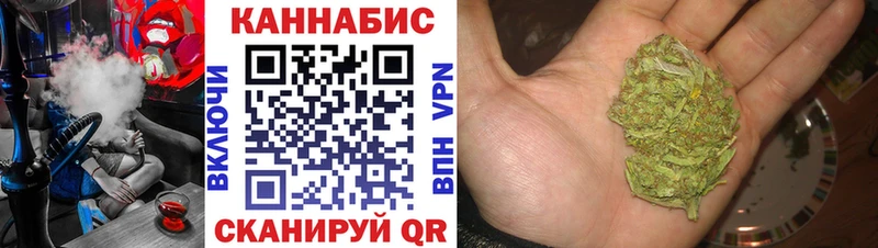 Бошки Шишки план Ужур